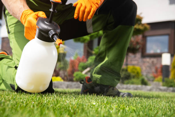 Pest Control for Restaurants and Food Service in Stevensville, MI